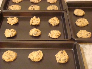 Biscuit mixture on trays
